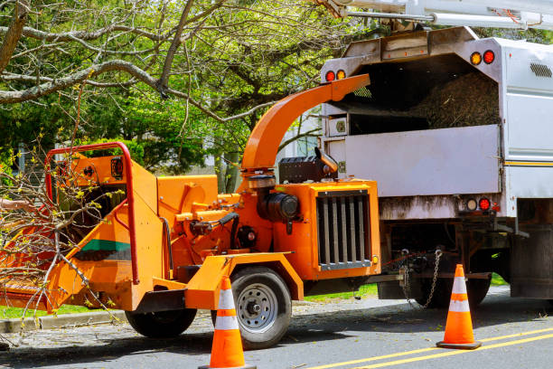 How Our Tree Care Process Works  in  Crystal Falls, MI