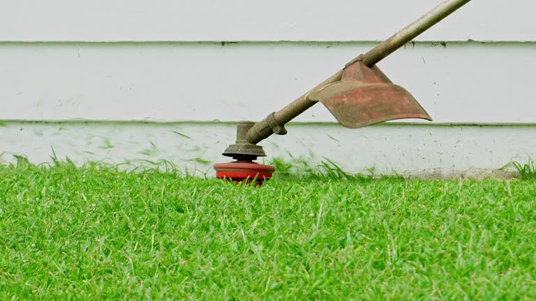 Best Lawn Drainage Solutions  in Crystal Falls, MI